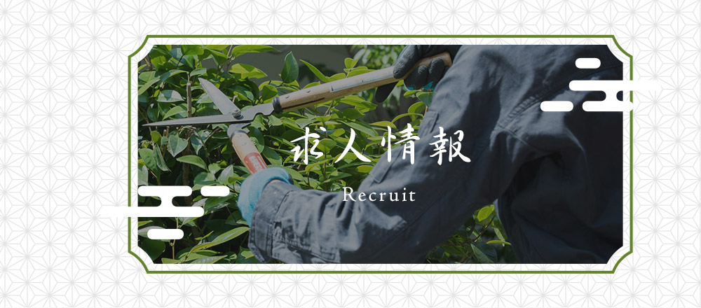 求人情報
