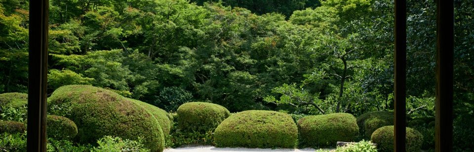AdobeStock_370571694-960x640