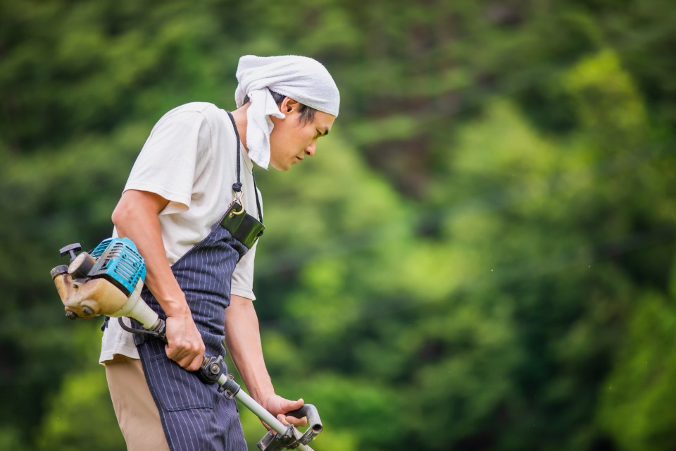 AdobeStock_382801890-960x640
